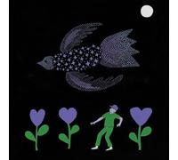 Bonnie Prince Billy – The Purple Bird – Vinyle