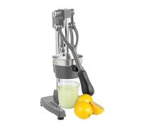 Bonnlo Presse Agrumes Manuel, presse fruit manuel, en Acier Inoxydable, Alimentaire Broyeur Jus, Orange Limon Citron Pommes Grenade (Gris)
