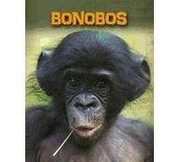 Bonobos