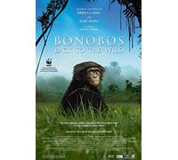 Bonobos: Back to The Wild