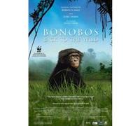 Bonobos - Fr G