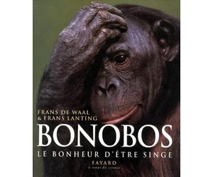 Bonobos, le bonheur d'être singe