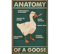 Bonoff Affiche décorative vintage en métal avec inscription « Anatomy Of A Goose Dask » - 20,3 x 30,5 cm