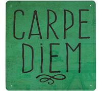 Bonoff Carpe Diem Citation inspirante Citation de motivation positive Cuisine Bureau Affiche Décoration murale en métal 20,3 x 30,5 cm