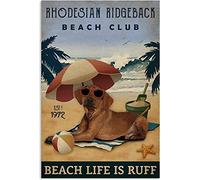 Bonoff Panneau en métal Beach Club Is Ruff Rhodesian Ridgeback - Décoration murale - 20,3 x 30,5 cm