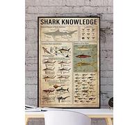 Bonoff Poster Shark Knowledge - Guide d'identification des dents de requin - Poster cadeau Shark L - Décoration de chambre d'enfant - Décoration murale en métal - 30,5 x 20,3 cm