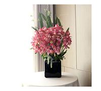 Bonsaï à fleurs artificielles avec vase grand bonsaï floral artificiel, bonsaï cymbidium réaliste avec feuilles en vase, élégant arrangement de fleurs rouges phalaenopsis pour les arrangements de fête