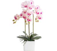 Bonsaï à fleurs artificielles avec vase Vivid Orchid Flower Arrangement Phalaenopsis Flowers Pot pour décor de bureau à domicile Décorations de table de table (orchidée rose pour table de bureau