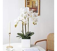 Bonsaï à fleurs artificielles avec vase Vivid Orchid Flower Arrangement Phalaenopsis Flowers Pot pour décor de bureau à domicile Décorations de table de table (orchidée rose pour table de bureau décor
