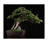 Bonsai Arbre Artificiel Bonsaï Artificial Entrée d'intérieur Entrée Vert Plante Décoration Chinoise Décoration Intérieur Décoration Fake Arbre avec Céramique Flower Pot Bonsai Artificiel (Color : Bru