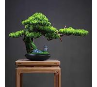 Bonsaï Artificiel avec Pot en Céramique, Bonsai Artificiel Realiste, Sapin Accueillant, Fausse Plante Verte Décoration pour Maison Salle de Bain Bureaux Table Décoration
