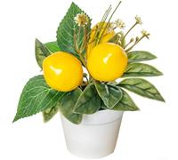 Bonsaï artificiel de citron pour maison, bureau, salon, chambre à coucher, bureau, table d'intérieur et de verdure (H262981)