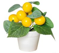 Bonsaï artificiel de citron pour maison, bureau, salon, chambre à coucher, bureau, table d'intérieur et de verdure (H262980)