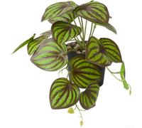 Bonsaï artificiel décoratif d'intérieur à suspendre avec feuilles en plastique aspect réaliste, convient pour bureau et affichage suspendu (H)