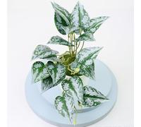 Bonsaï artificiel en plastique 22 cm (H)