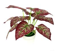 Bonsaï artificiel en pot avec feuillage en tissu de soie pour bureau, décoration d'intérieur, pas besoin d'eau pour intérieur et extérieur, décoration rustique, fausse plante réaliste pour étagère (B)