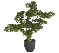Bonsai artificiel géant avec pot en PLASTIQUE/CIMENT - Dim : H 80 x L 80 x P 60 cm