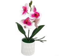 Bonsaï artificiel Phalaenopsis pour salon, chambre à coucher, bureau, table pour décoration d'intérieur (violet/blanc)
