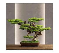 Bonsai Artificiel Pin Artificiel Bienvenue bonsaï Faux Arbre Salon Porche Salon de thé Table décoration Plantes Bonsai Artificiel Realiste
