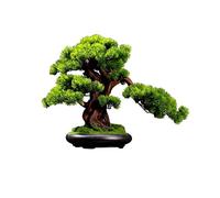 Bonsaï Artificiel Plantes artificielles Bonsaï Artificielle Sapin Faux Feunes Maison Plantes Chambre Salon et Bureau Arbres artificiels for la décoration de la Maison Intérieur Bonsaï Artificiel