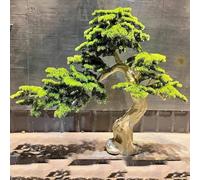 Bonsaï Artificiel - Plantes artificielles Bonsaï Podocarpus Décoration d'arbre - Faux pins d'accueil pour la décoration de la Maison, du Bureau, de la Chambre à Coucher, du Salon(1x0.9m)