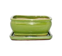 bonsaï Bol avec soucoupe gr. 2 - Special Glaze Vert clair - Rectangulaire G92 - L 16 cm - L 12,5 cm - H 7,3 cm