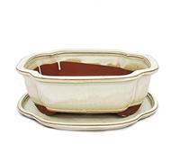 bonsaï Bol avec soucoupe gr. 4 - Haitang i4 - Beige clair - L 26 cm - L 20,5 cm - H 8,5 m