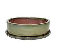 bonsaï Bol avec soucoupe gr. 4 - Ovale O1 - Olive-brown - L 25 cm - L 20 cm - H 7,5 cm