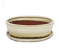 bonsaï Bol avec soucoupe gr. 4 - Ovale O7 - Beige clair - L 26 cm - L 21 cm - H 7,5 cm
