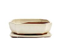bonsaï Bol avec soucoupe gr. 4 - Rectangulaire G117 - Beige clair - L 25,5 cm - L 19,5 cm - H 8,2 cm