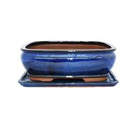 bonsaï Bol avec soucoupe gr. 4 - Rectangulaire G81 - Bleu - L 25 cm - L 21 cm - H 9,5 cm