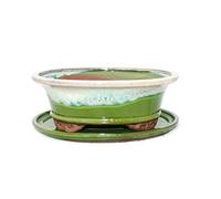 bonsaï Bol avec soucoupe gr. 4 - Special Glaze Noble avec effet dégradé - Ovale 09 - lumière Green-beige - L 25,5 cm - L 21 cm - H 9 cm