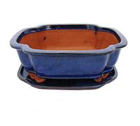 bonsaï Bol avec soucoupe gr. 5 - Haitang i4 - Bleu - L 31,5 cm - L 26 cm - H 11 cm