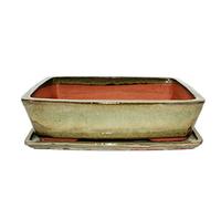 bonsaï Bol avec soucoupe gr. 5 - Rectangulaire G30 - Olive-brown - L 32 cm - L 24,5 cm - H 8 cm