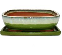 bonsai bol avec soucoupe Gr. 6 - Vert-beige - rectangulaire - Modèle gb5 - l 37cm - l 28cm - h 10cm