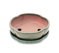 Bonsaï Bol avec sous assiette Taille 3 - Olive/marron - haitang/ovale - Modèle i5 - L 17 cm - B 14 cm - H 5,5 cm