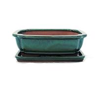 Bonsaï Bol avec sous assiette Taille 3 - Vert - Carrée - Modèle G12 - L 18 cm - B 14 cm - H 5,5 cm