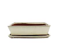 Bonsai Bol avec sous assiette Taille 5 - Beige clair - Carré - Modèle G30 - L 31 cm - B 23 cm - H 8 cm