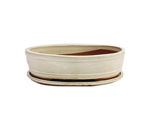 Bonsai Bol avec sous assiette Taille 5 - Beige clair - ovale - Modèle o7 - L 31 cm - B 24 cm - H 7,5 cm