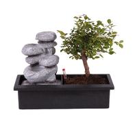 Bonsaï cascade stones