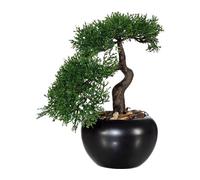 Bonsaï Cèdre Plante artificielle 25 cm - arbre artificiel élégant dans un pot en céramique noire avec gravier