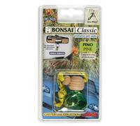 BONSAI CLASSIQUE - PIN LAMPA