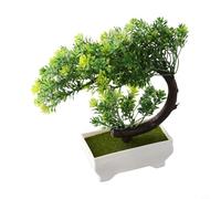 Bonsaï décoratif avec un minimum d'effort dans le récipient pour une utilisation quotidienne dans la cuisine, la salle de bain, la chambre à coucher ou le bureau, pas de problème de dessèchement (vert