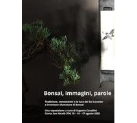 Bonsai, immagini, parole: Tradizione, convenzioni e la luce del Sol Levante a inventare sfumature di bonsai