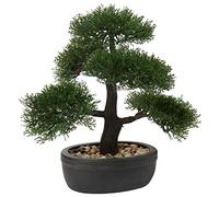 Bonsaï japonais artificiel en pot pour intérieur/extérieur, cèdre, pour maison, bureau, hôtel, 36 cm