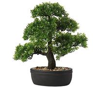 Bonsaï japonais artificiel en pot pour intérieur/extérieur, pin, cèdre, pour maison, bureau, hôtel, 36 cm