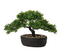 Bonsaï japonais artificiel en pot pour intérieur/extérieur, pin, pour maison, bureau, 23 cm