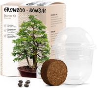 Bonsai Kit avec eBook GRATUIT - Bonzai Set avec mini-serre graines et terre - idée cadeau durable pour les amoureux des plantes