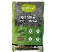 Bonsaï Meliflor 11 l Fabfriqué par Les maîtres Bonsaïstes