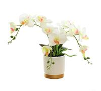 Bonsaï Phalaenopsis artificiel de 33 cm, fleur d'orchidée en plastique avec pot bordé d'or blanc, fausse plante réaliste pour la maison, le bureau, l'étagère, la décoration (blanc)